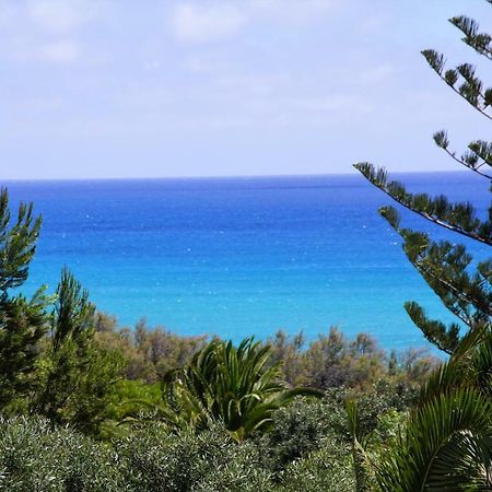 Porto Santo - Pedras Pretas Beach House Exteriör bild